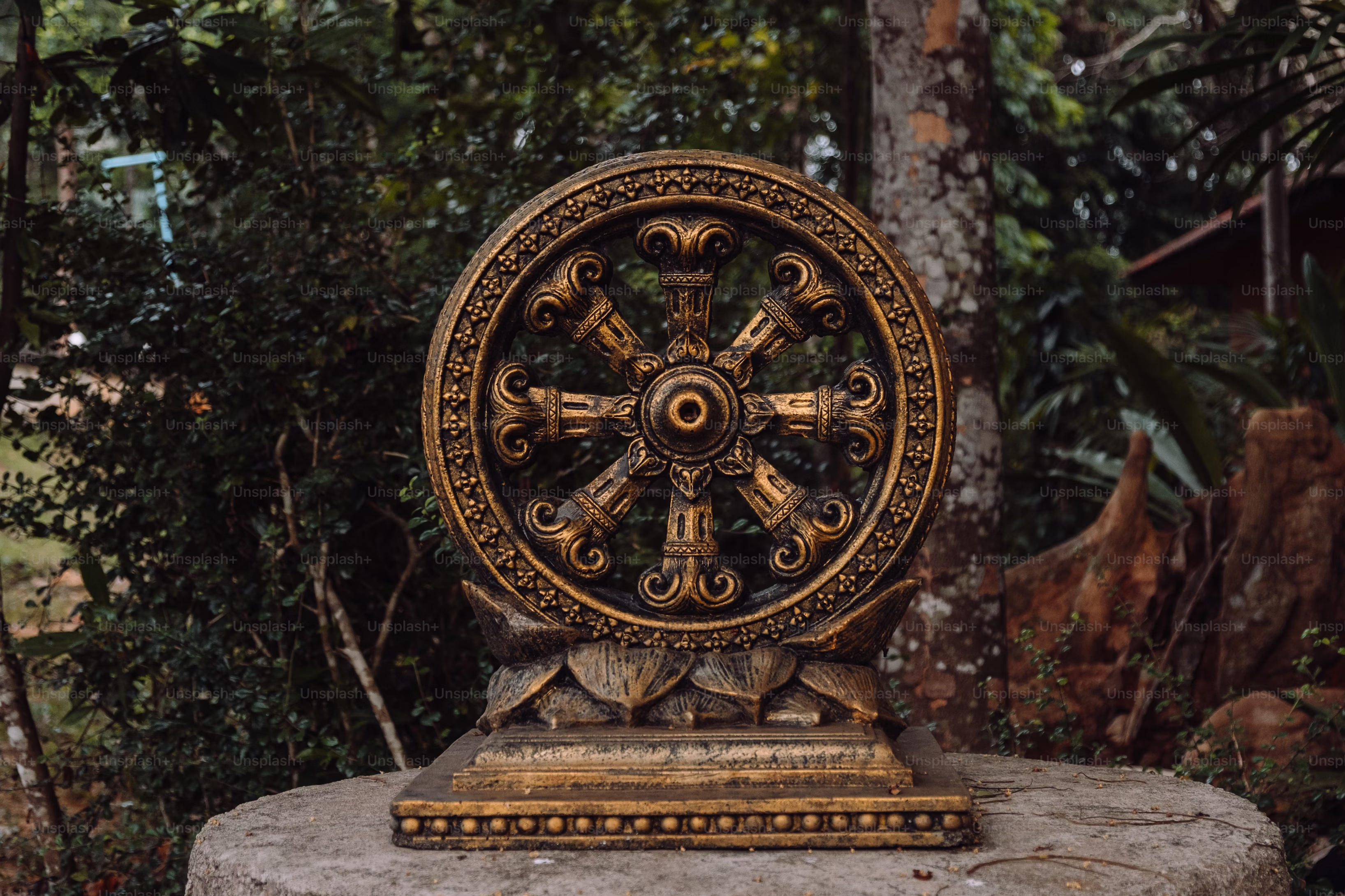 (3) How to start learning about Buddhism? | Three Turnings of the Wheel of Dharma