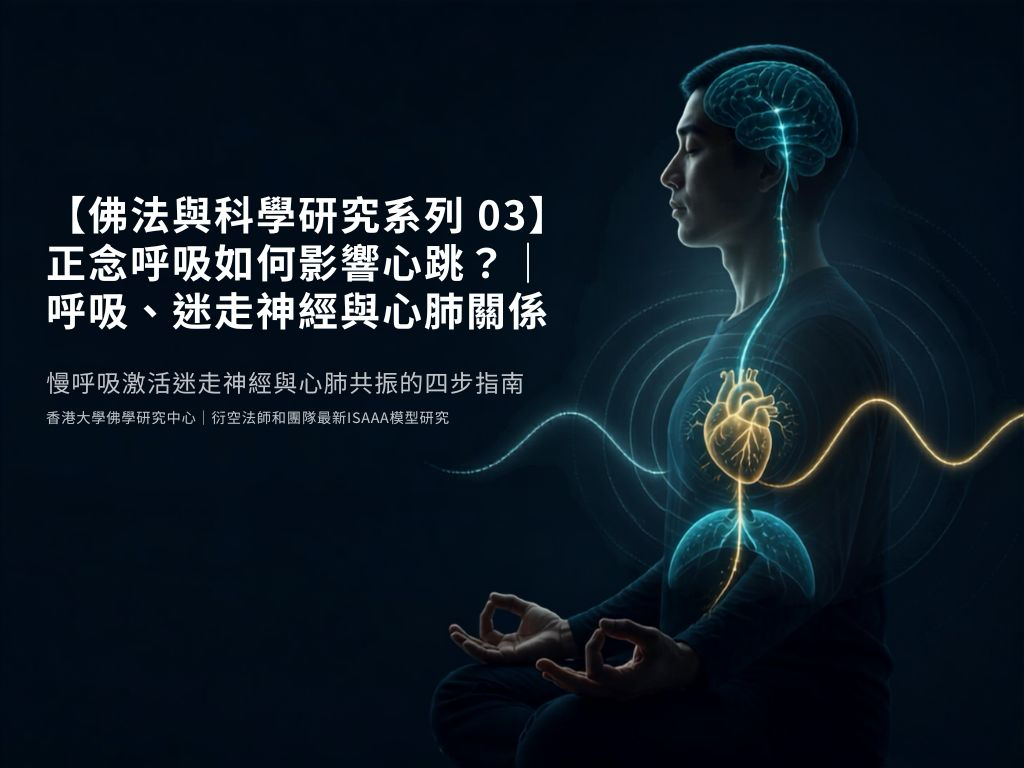 【佛法與科學研究系列 03】正念呼吸如何影響心跳？｜呼吸、迷走神經與心肺關係｜香港大學佛學研究中心｜衍空法師和團隊最新ISAAA模型研究